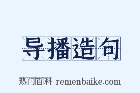 导播造句是什么意思的图片